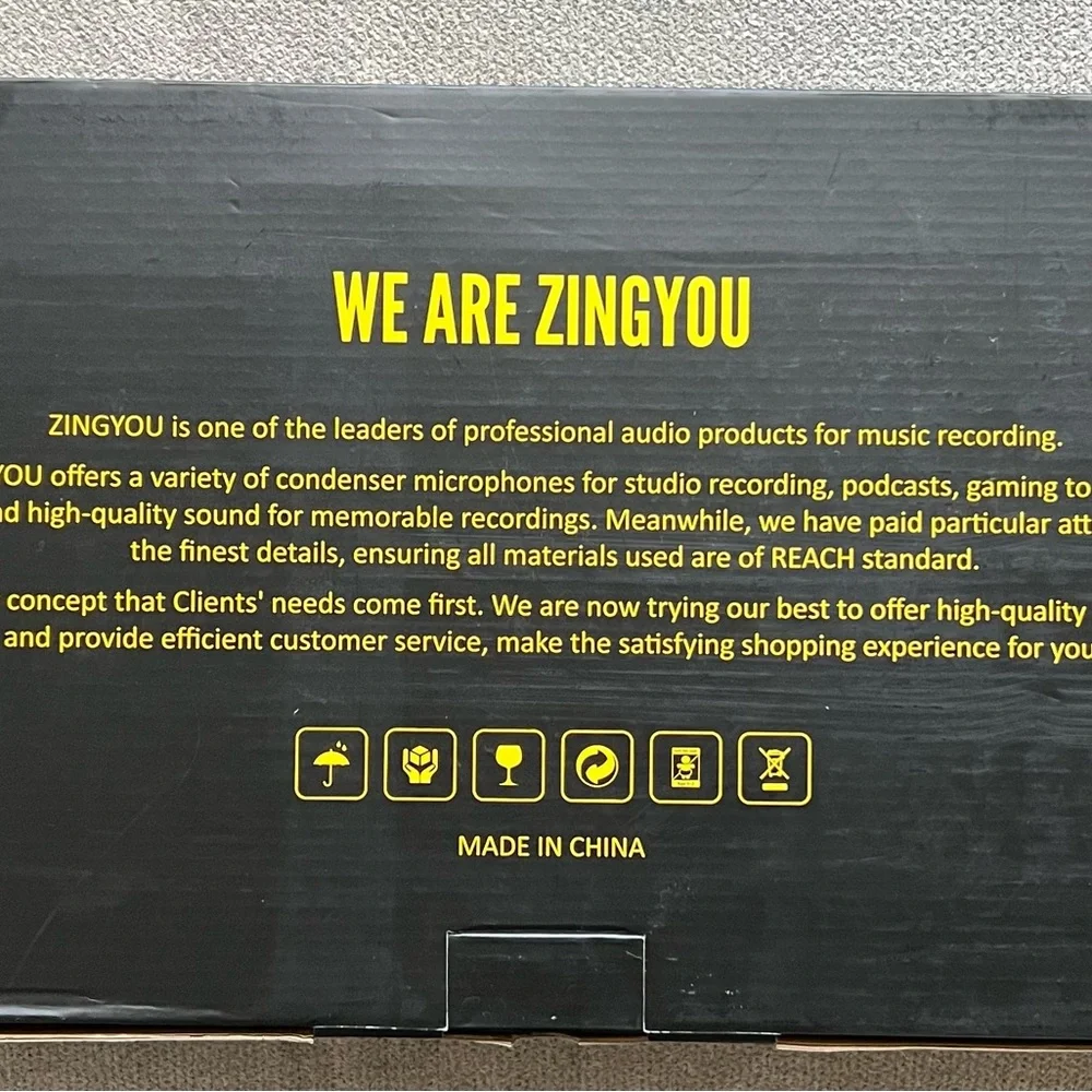 Condenser Microphone - Picture 3 of 5